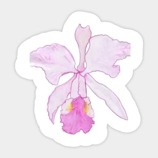 Orchid Sticker